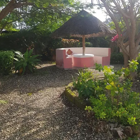 Habibi B&B